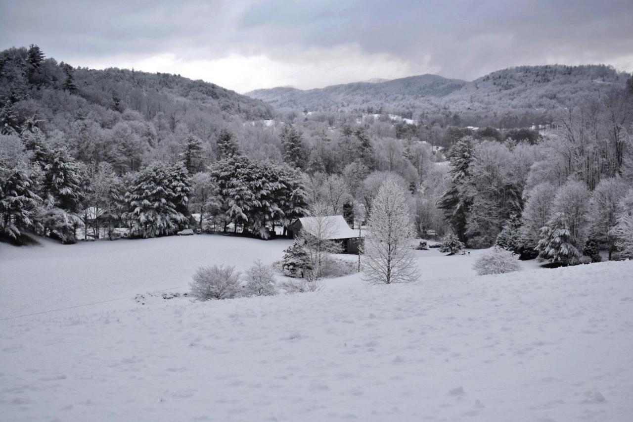Iron Mountain Lodge - Beautiful Cabin With Forest & Mountain Views! Butler エクステリア 写真