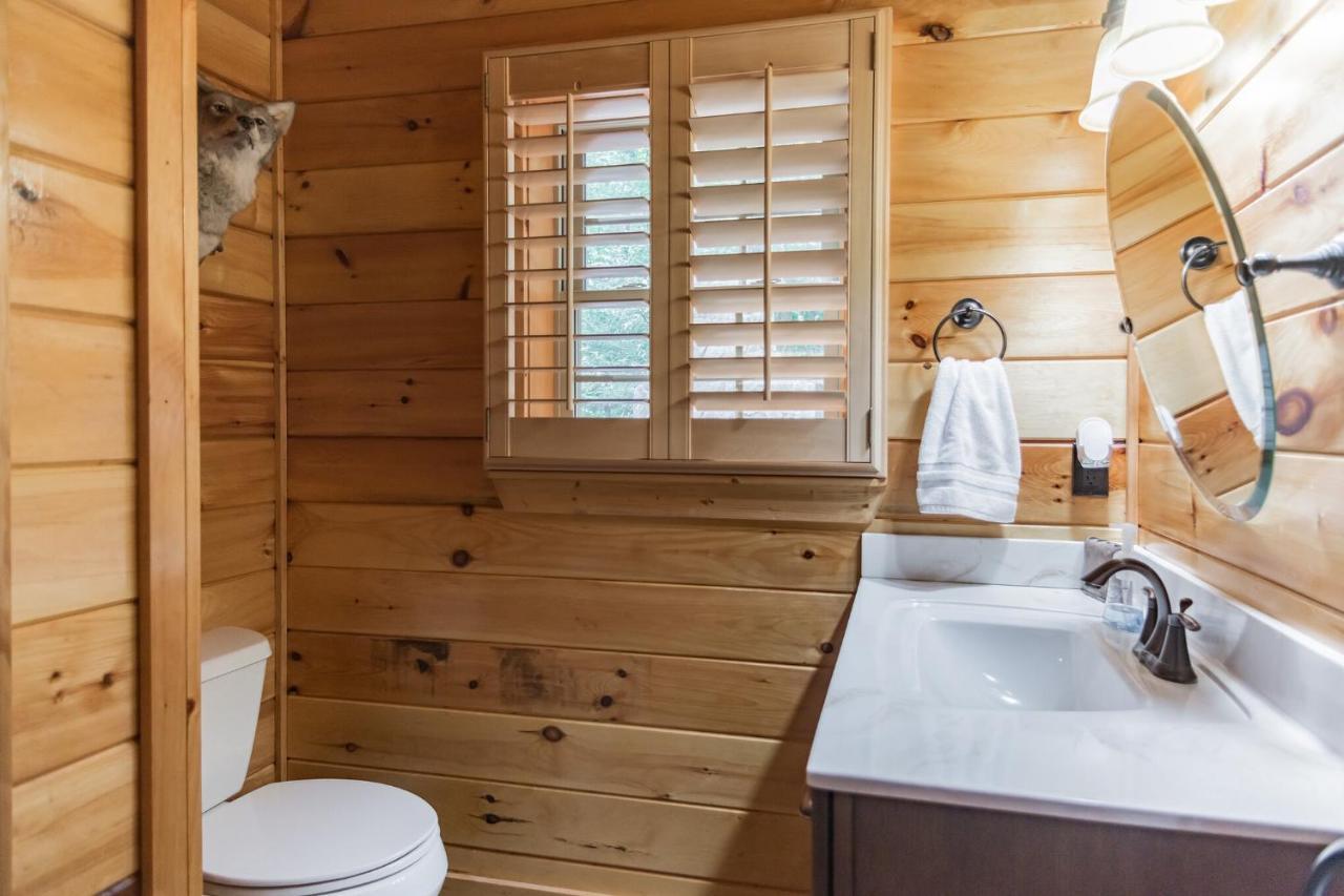 Iron Mountain Lodge - Beautiful Cabin With Forest & Mountain Views! Butler エクステリア 写真